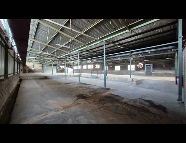 1,149M² FACTORY TO LET IN ANDERBOLT